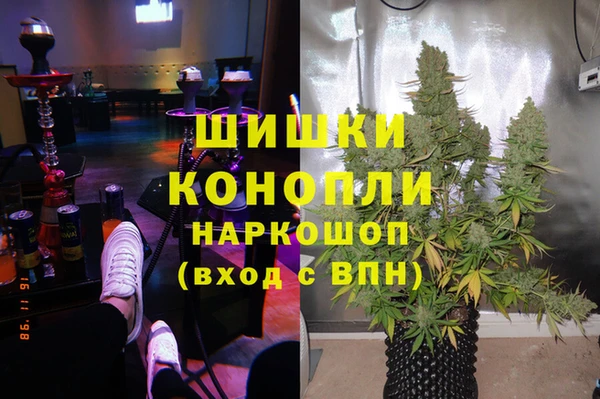 индика Дмитровск