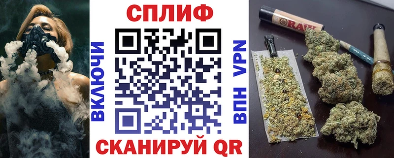 Бошки Шишки план  Алейск 