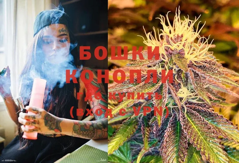 Бошки Шишки SATIVA & INDICA  Алейск 