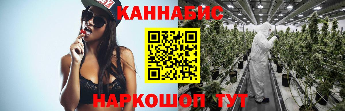 Шишки марихуана Bruce Banner  Бошки марихуана план  Вход с VPN  Конопля планчик  Алейск 