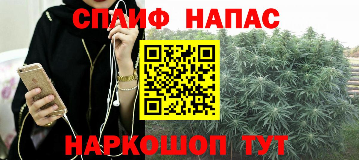 Конопля OG Kush  Алейск  Конопля OG Kush 